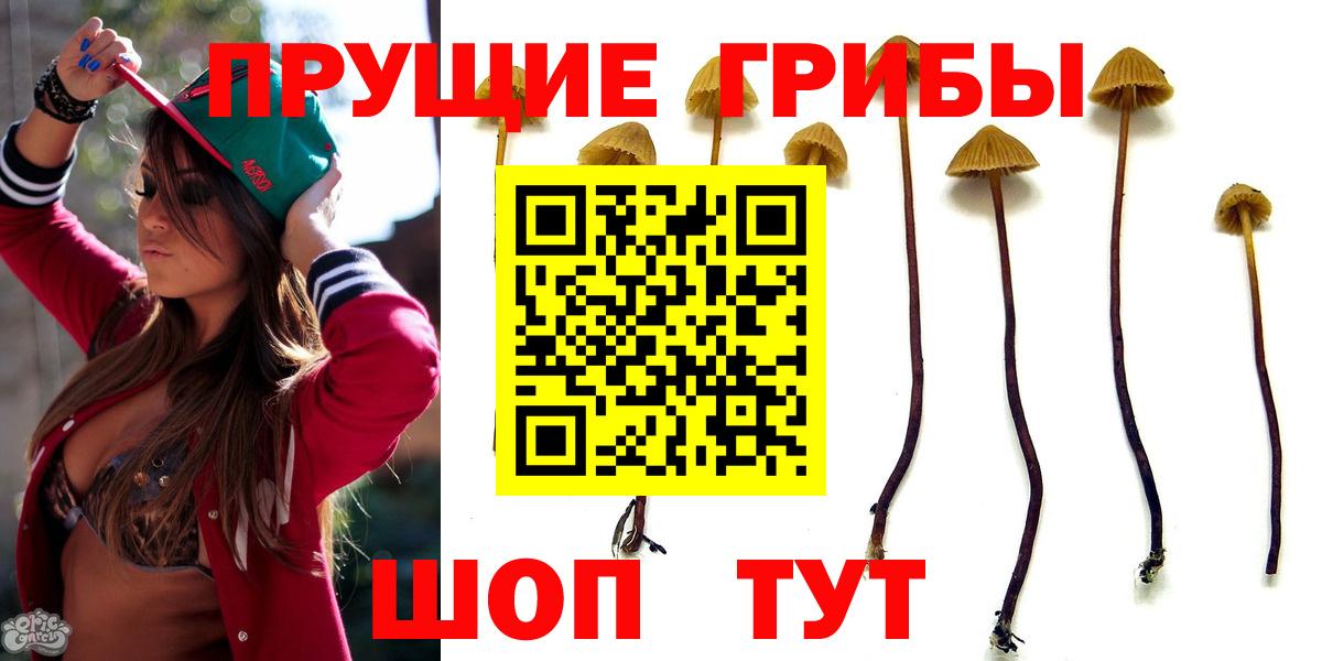 Галлюциногенные грибы GOLDEN TEACHER Сургут